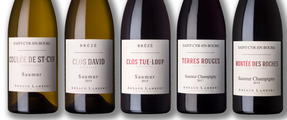 Arnaud Lambert - Saumur - Breze - Invincibles - coulee de st cyr - St cyr en bourg