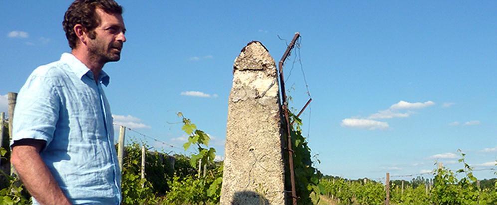 Clos Cristal - Cristal Closed - Saumur - invincibles