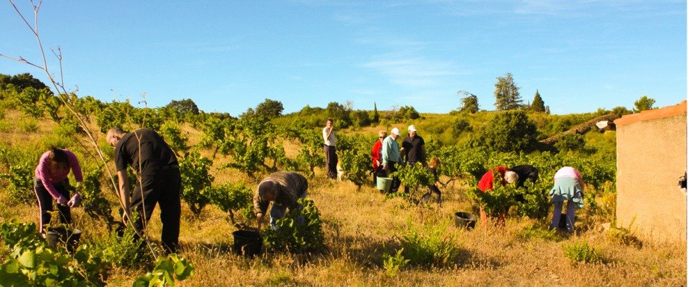 DEMENA -Sebastien AGELET - Invincibles - Roussillon - Clandestine - Sasabi