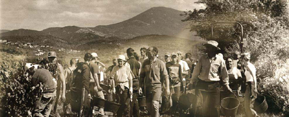 Vieux télégraphe - invINcibles - Châteauneuf