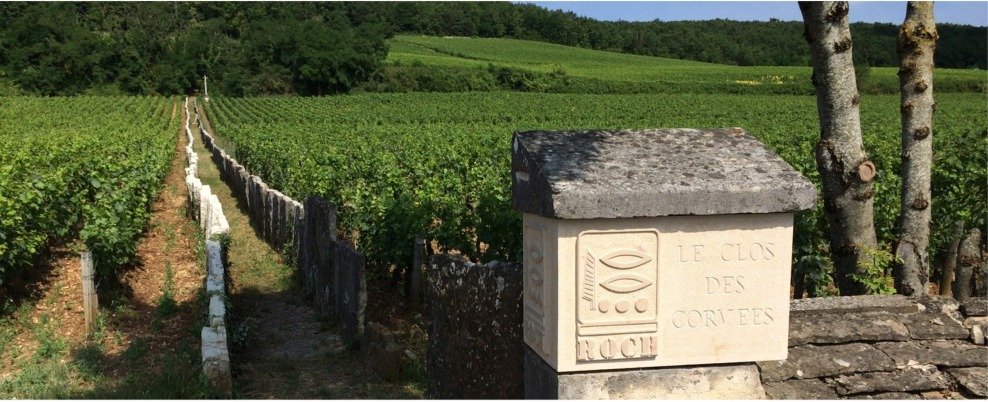 Prieure Roch - Bourgogne - les inVINcibles